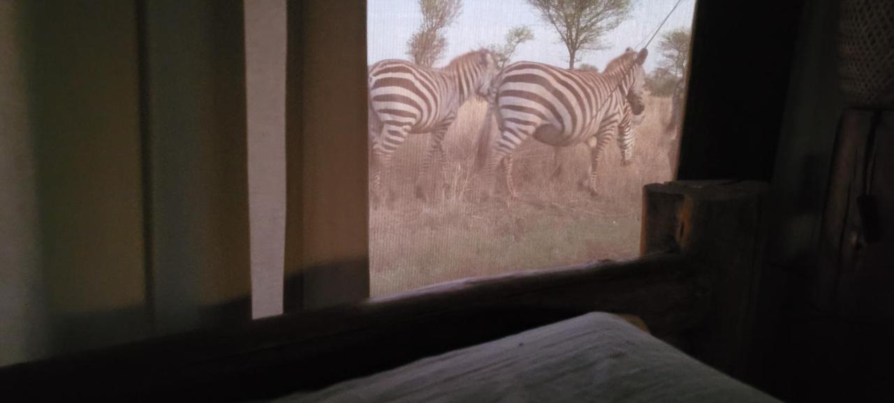 Zawadi Camp Hotel Serengeti Luaran gambar