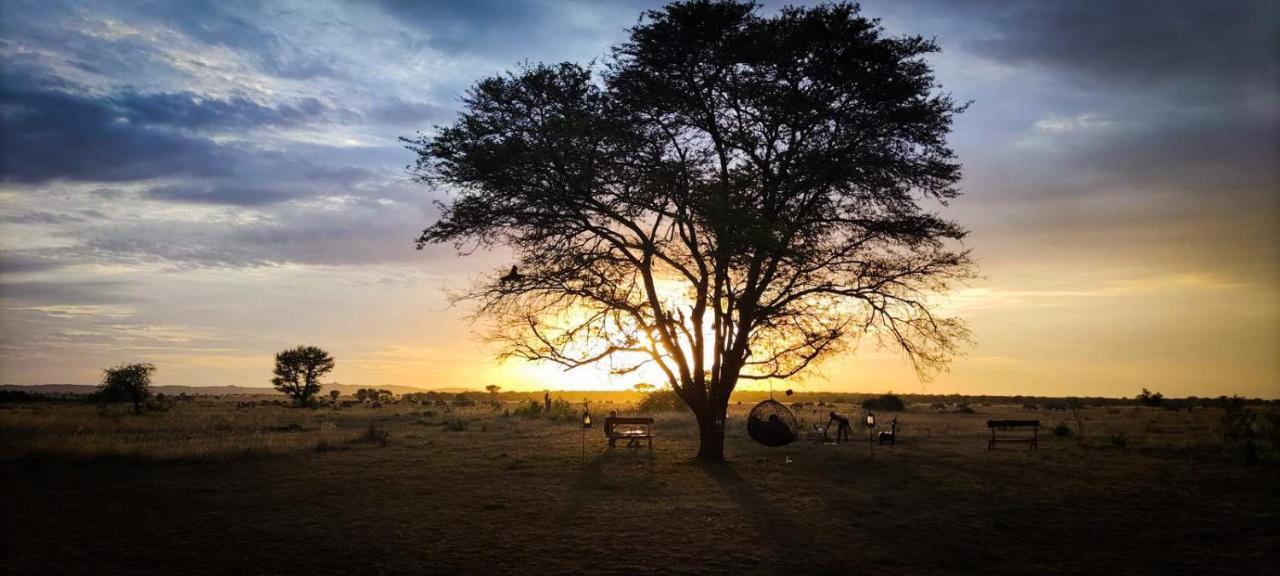 Zawadi Camp Hotel Serengeti Luaran gambar