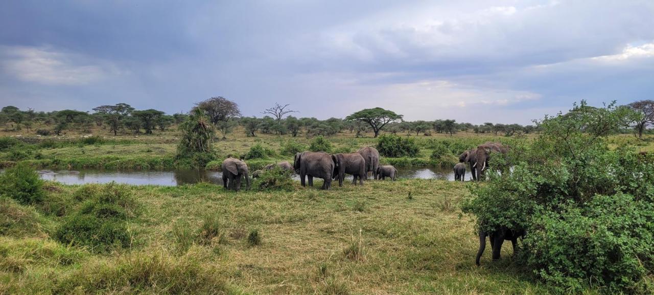 Zawadi Camp Hotel Serengeti Luaran gambar