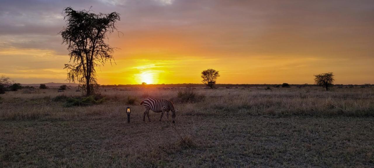 Zawadi Camp Hotel Serengeti Luaran gambar