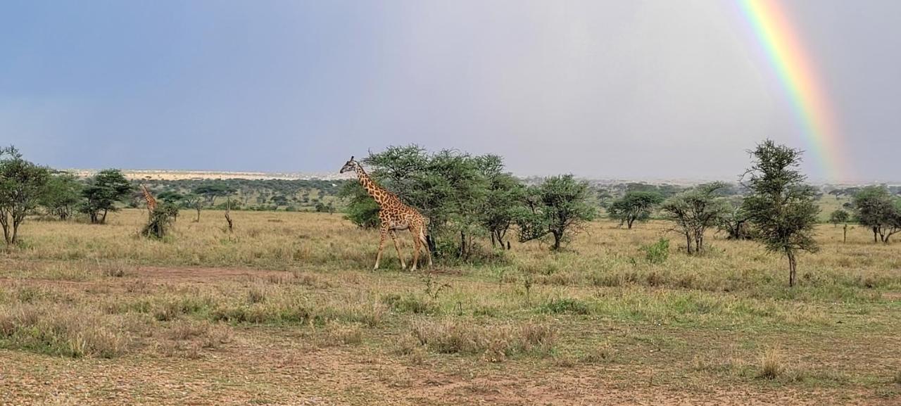 Zawadi Camp Hotel Serengeti Luaran gambar