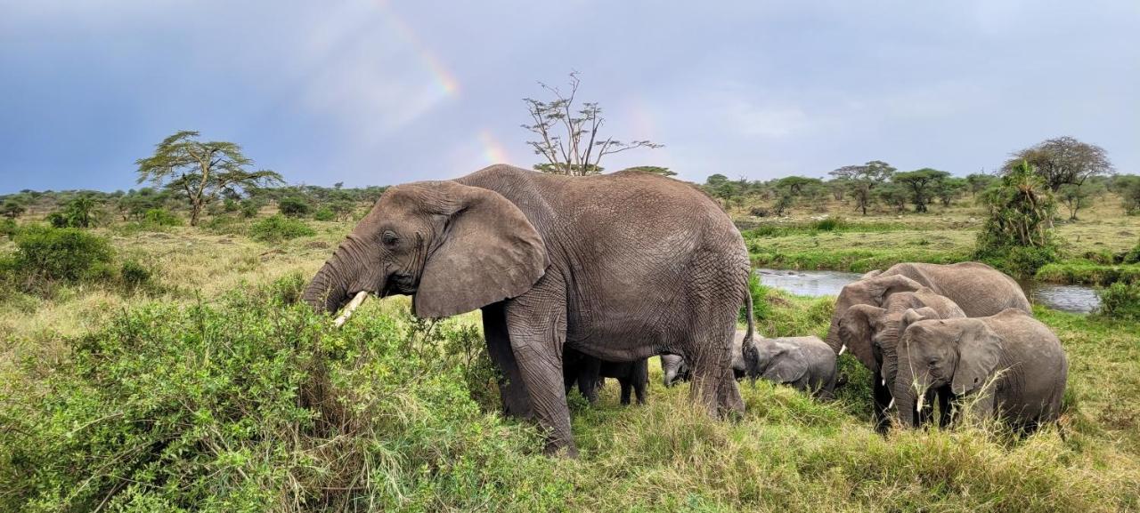 Zawadi Camp Hotel Serengeti Luaran gambar