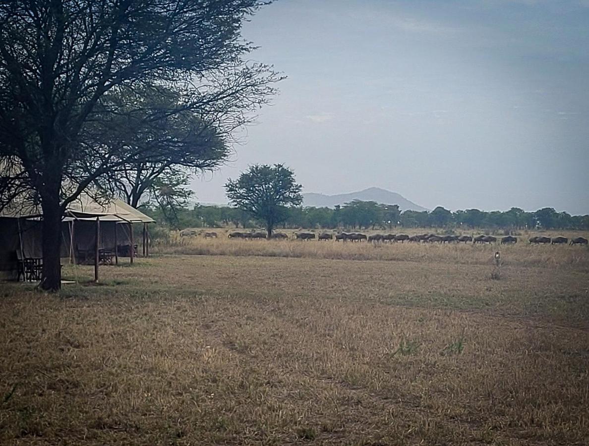 Zawadi Camp Hotel Serengeti Luaran gambar