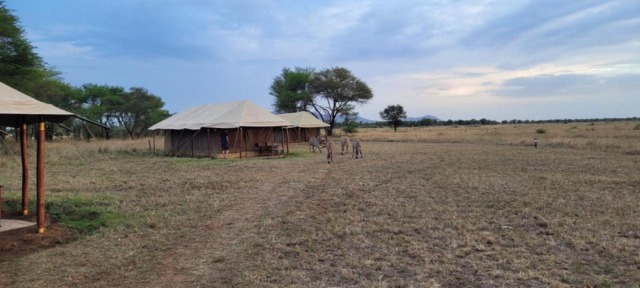 Zawadi Camp Hotel Serengeti Luaran gambar