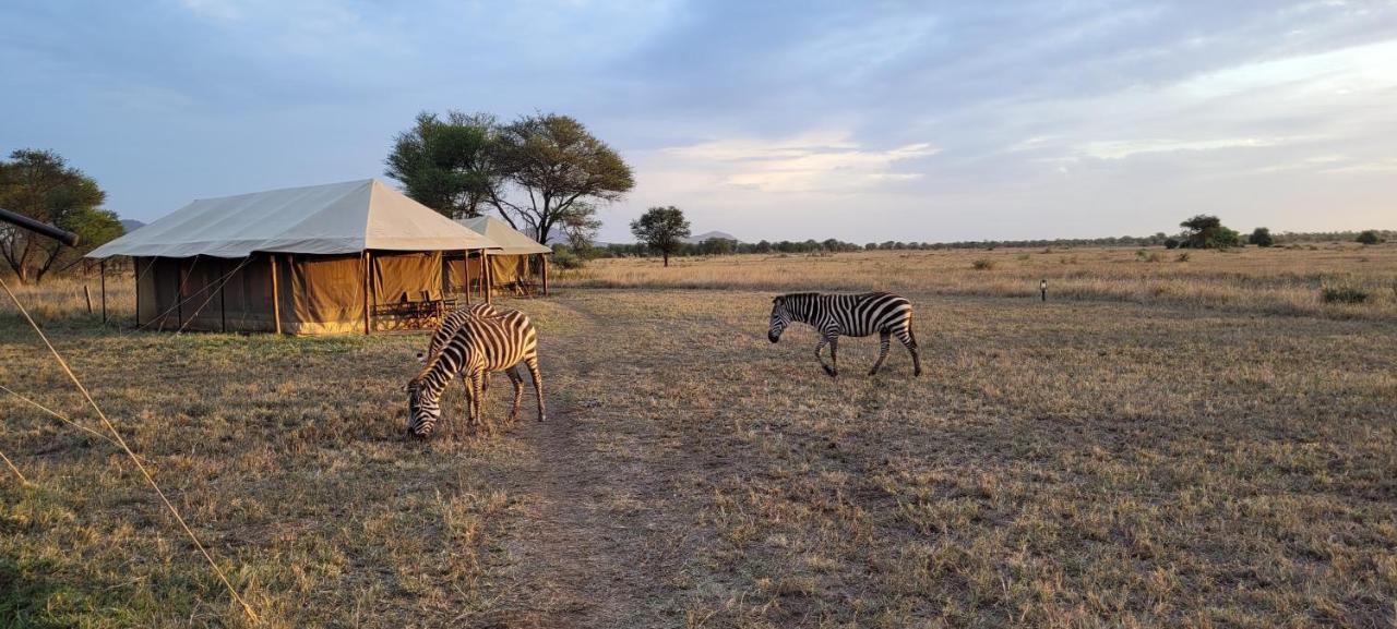 Zawadi Camp Hotel Serengeti Luaran gambar