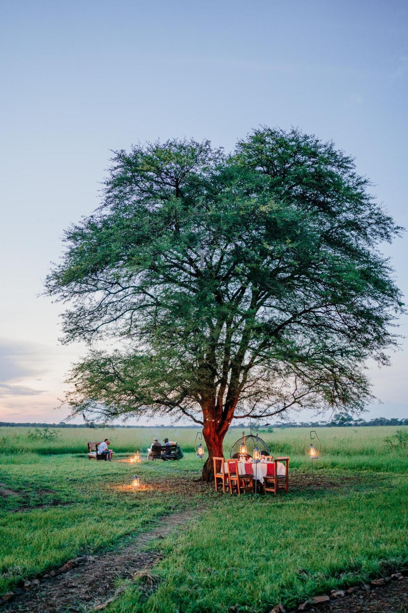 Zawadi Camp Hotel Serengeti Luaran gambar