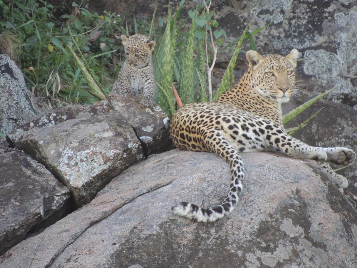 Zawadi Camp Hotel Serengeti Luaran gambar