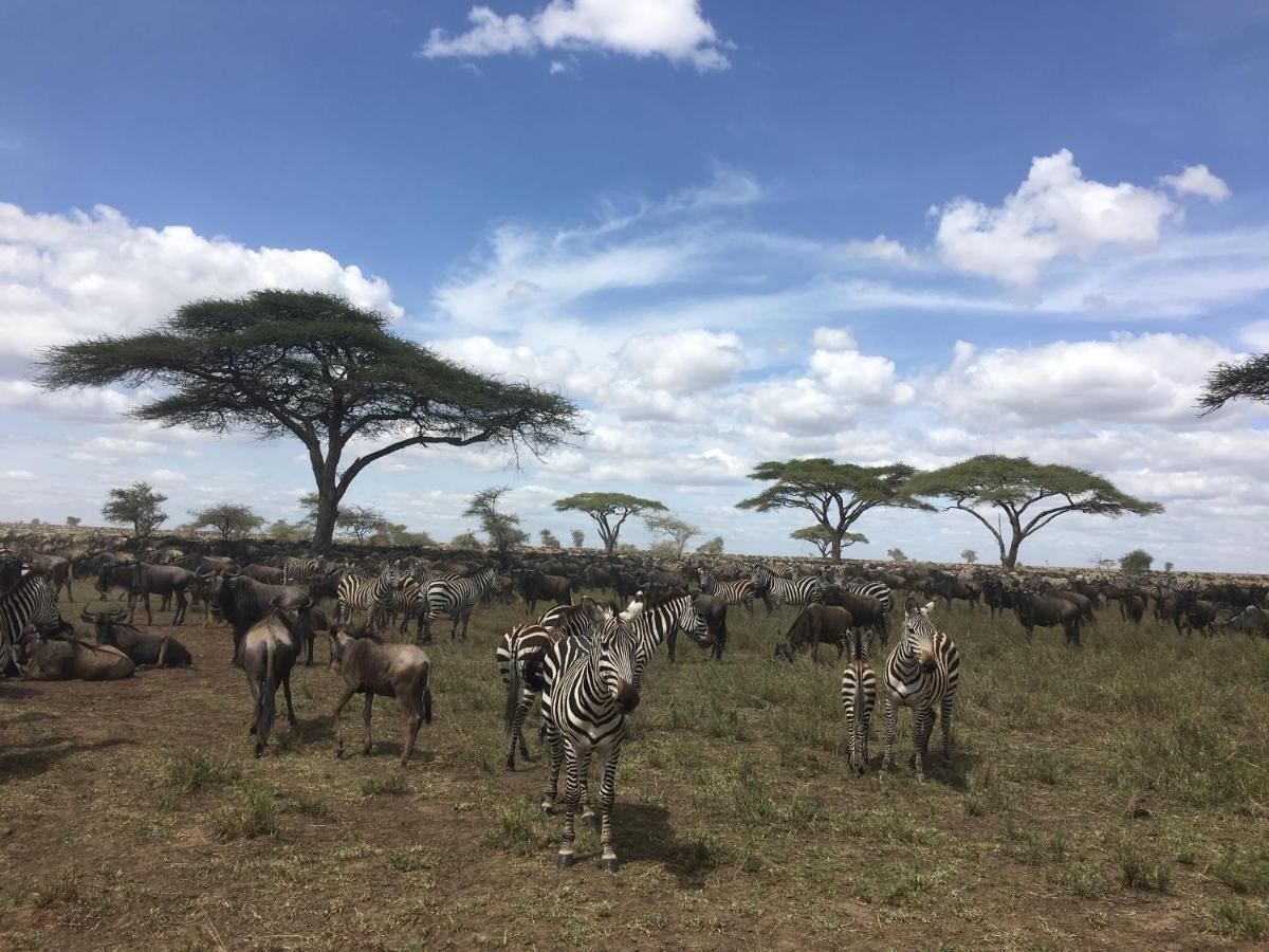 Zawadi Camp Hotel Serengeti Luaran gambar