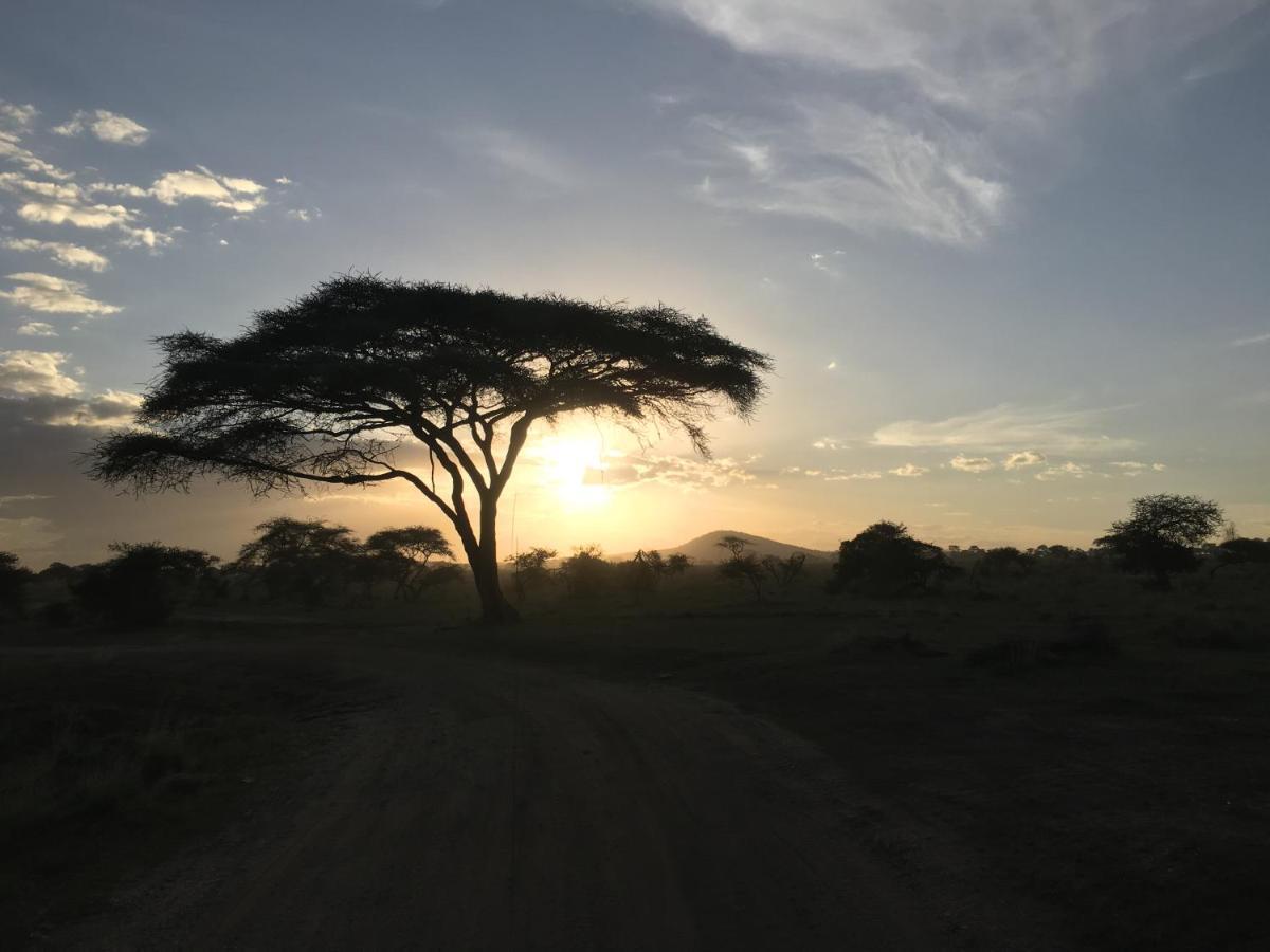 Zawadi Camp Hotel Serengeti Luaran gambar