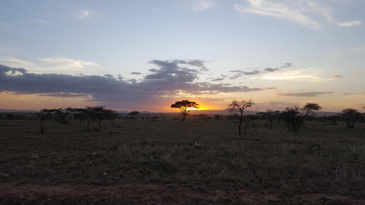 Zawadi Camp Hotel Serengeti Luaran gambar